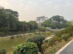-东莞植物园