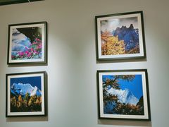 -中南·融创玖华台