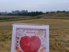 -白鹭湾湿地公园