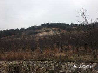 武汉周边游丨九峰山森林公园一