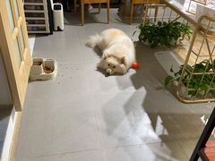 -肆兮眼镜·蔡司·徕卡战略合作店(大坪店)
