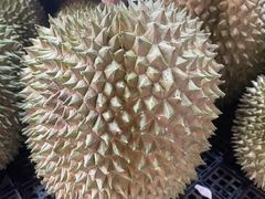 -曼阁市场水果批发市场