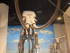 -国家自然博物馆