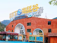 -瓷天下海丝谷