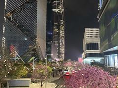 -深圳湾万象城(南山店)