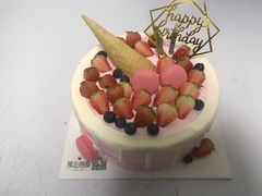 -维尔纳斯·生日蛋糕·动物奶油冰淇淋蛋糕(雨花店)