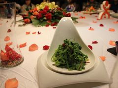 炝拌丝瓜尖-小广寒电影艺术餐厅(小广寒经三路店)