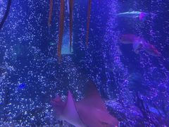 -沈阳海洋探索中心