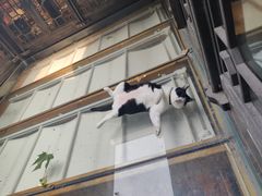 -猫的天空之城概念书店(杭州南宋御街店)