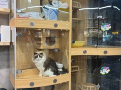 -PETKIT 小佩宠物·低压洗护·美容·寄养(安远店)