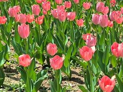 -长春公园(普阳街道)