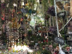 -循礼门鲜花花市(武汉循礼门店)