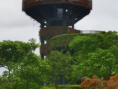 -芒洲湿地公园