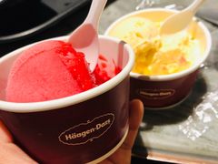 哈根达斯雪糕-铭门盛宴艺术海鲜姿造(珠江新城店)