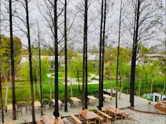 -前小桔亲子创意农场·草莓采摘·露营烧烤