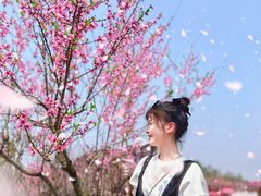 -常德桃花源景区
