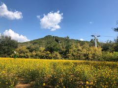 -大连铭湖国际观光牧场