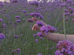 -杭州城北体育公园