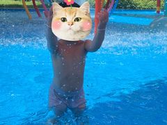 -美的鹭湖探索王国