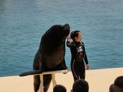 -秦皇岛乐岛海洋王国