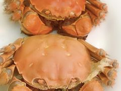 大闸蟹-皮记海鲜1995(寮步店)