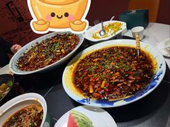 新概念来凤鱼-新概念来凤鱼(璧山店)