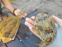 -三亚西岛海洋文化旅游区