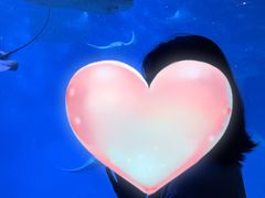 -上海海洋水族馆