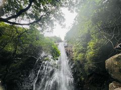 -马峦山郊野公园