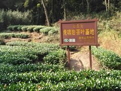 -武夷山风景名胜区-虎啸岩