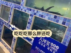 -大河宴·椒麻鱼火锅(北京路中和美食街店)