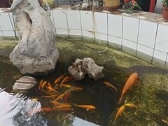 -双新垂钓园