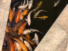 -荔城生鲜盛宴(番禺旗舰店)