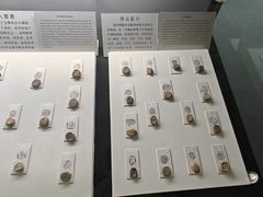 -古陶文明博物馆