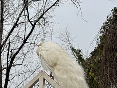 -J Create城市露营咖啡·简餐·宠物(上海动物园店)