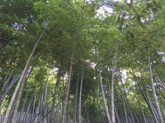 景点-藏龙百瀑风景区