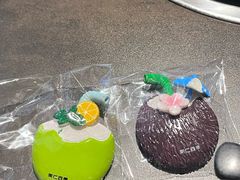 -同仁四季椰子鸡(宝安壹方城店)