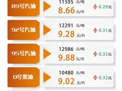 -中化道达尔加油站(周家嘴路站)