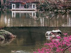-杭州植物园