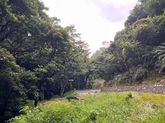-黄埔油麻山森林公园