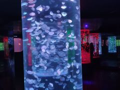 -杭州海底世界