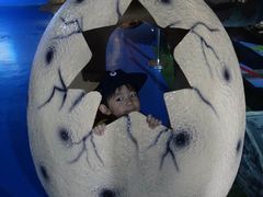 -重庆欢乐海底世界