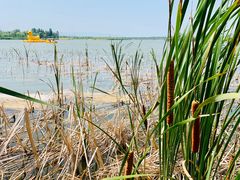 -野鸭湖国家湿地公园