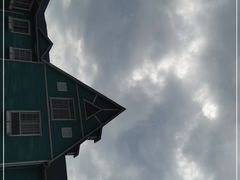 -南通鲜花小镇