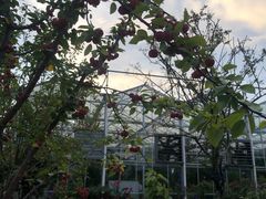 -南通洲际绿博园