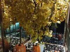 -丽晶大班SPA(大沽店)