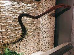 -春水堂人文茶馆