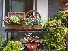 -张家大院·鲁菜·私房菜(芙蓉街店)