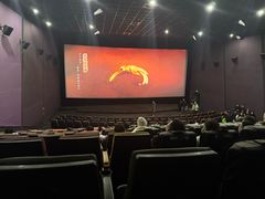 -幸福蓝海国际影城(河西店)