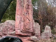 -常州淹城野生动物世界